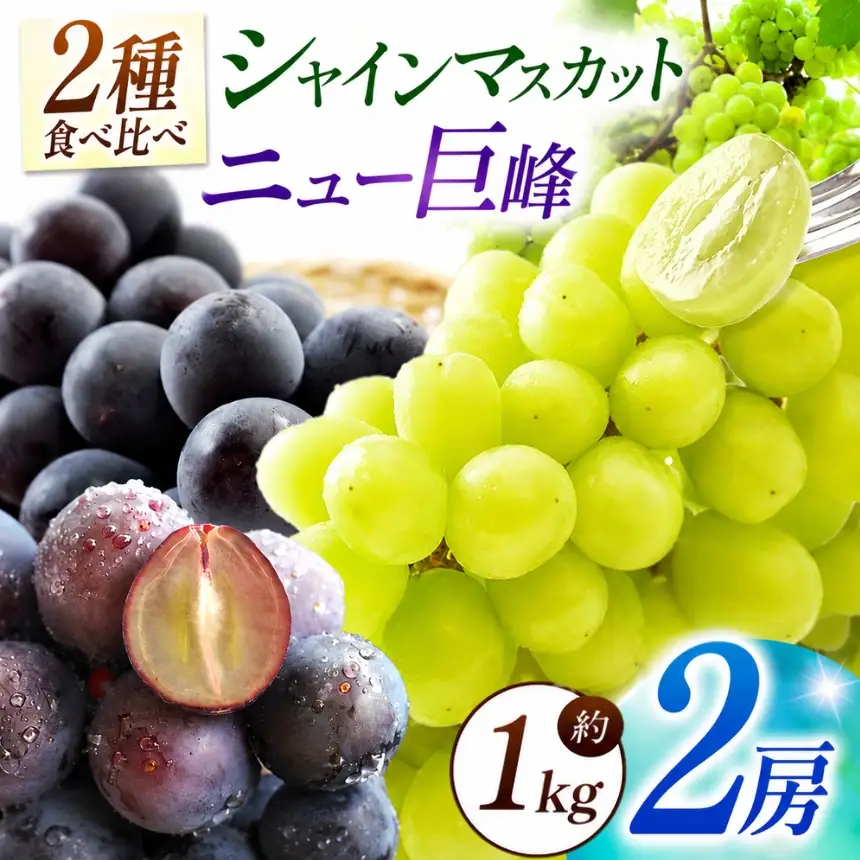 【先行予約】宮内果樹観光園のシャインマスカットとニュー巨峰 約1kg | フルーツ 果物 くだもの ぶどう ブドウ 葡萄 シャインマスカット マスカット 巨峰 セット 食べ比べ 産地直送 大分県 中津市