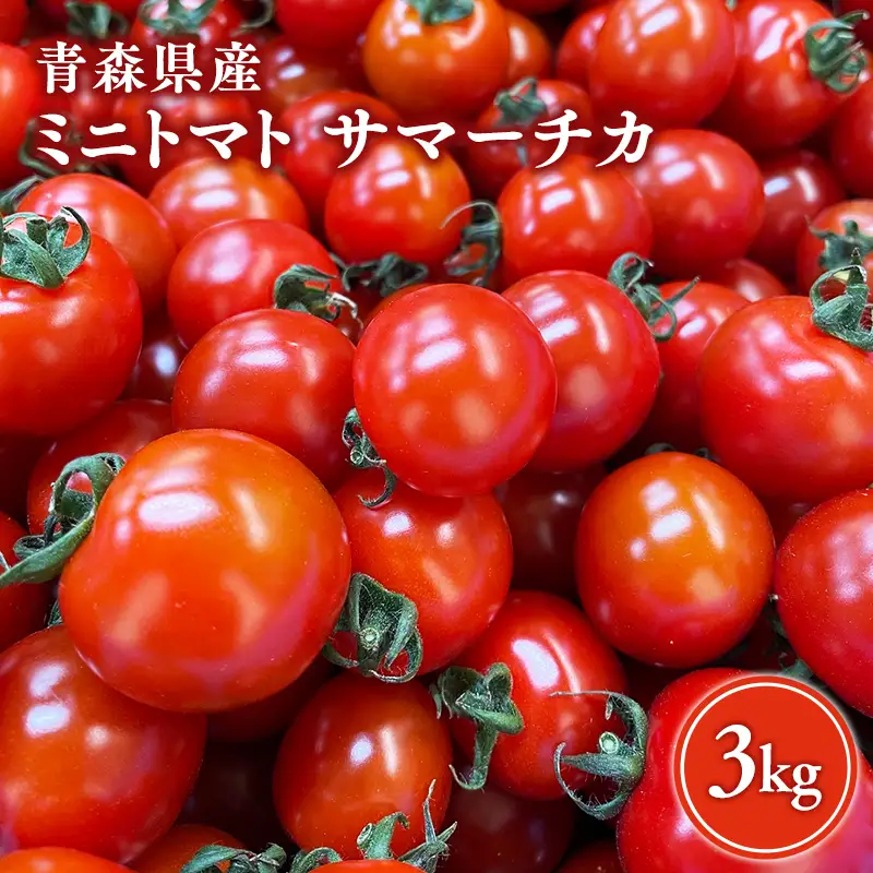 ミニトマト 3kg  サマーチカ [hi-0070-002]