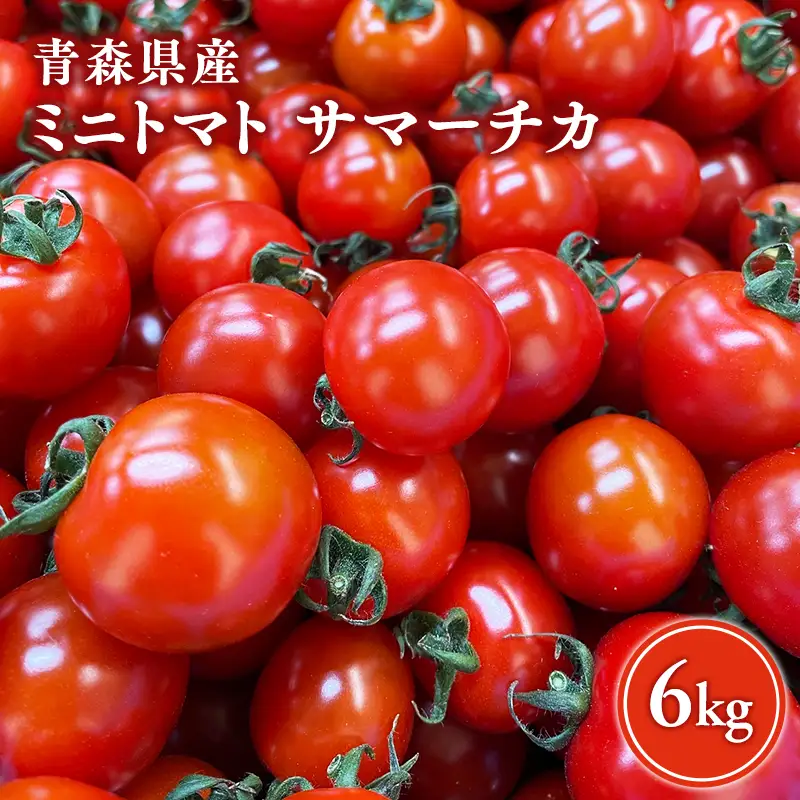 ミニトマト 6kg  サマーチカ