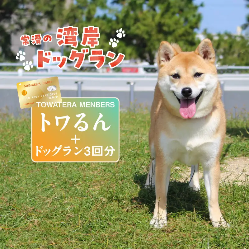 【TOWATERAメンバーズ】ドッグラン、ペットホテルなどをお得に利用できる「トワるん」会員入会＋ドッグラン3回分（1頭）｜ペット 常滑市