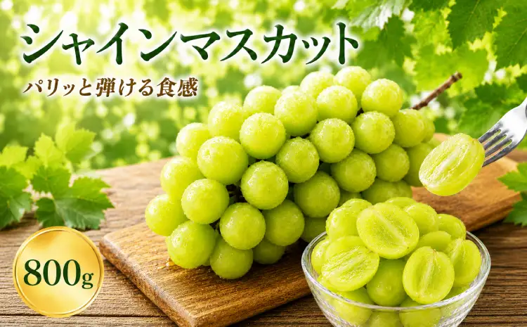 先行予約 シャインマスカット　800g  2房 【2026年8月中旬〜9月下旬頃発送予定】