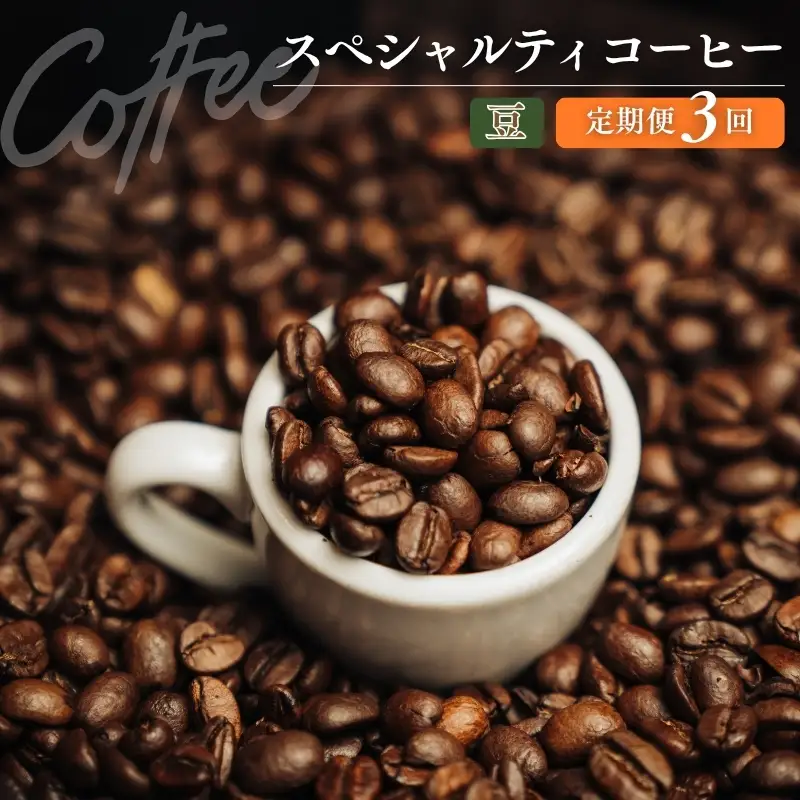 No.3363 椏久里珈琲スペシャルティコーヒー3ヶ月定期便【豆】