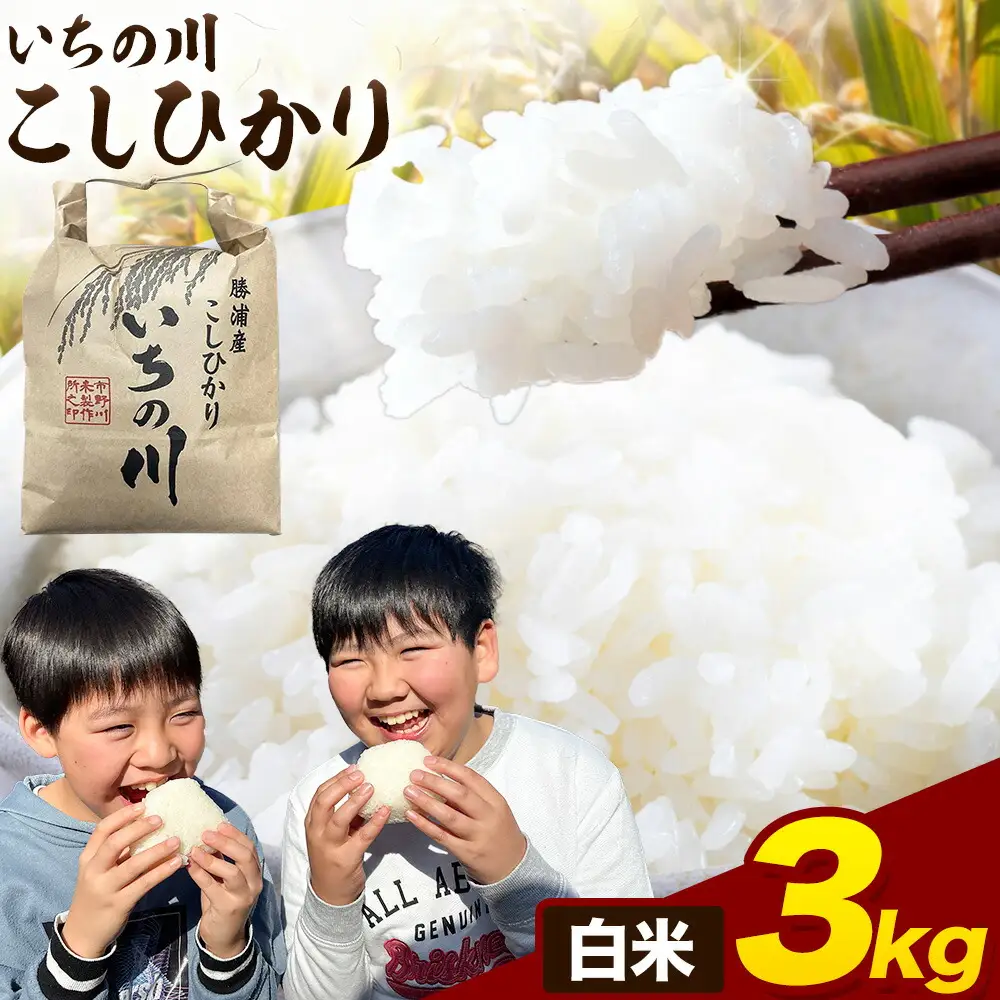 令和7年産 いちの川 コシヒカリ 白米 3kg 市野川米製作所 
