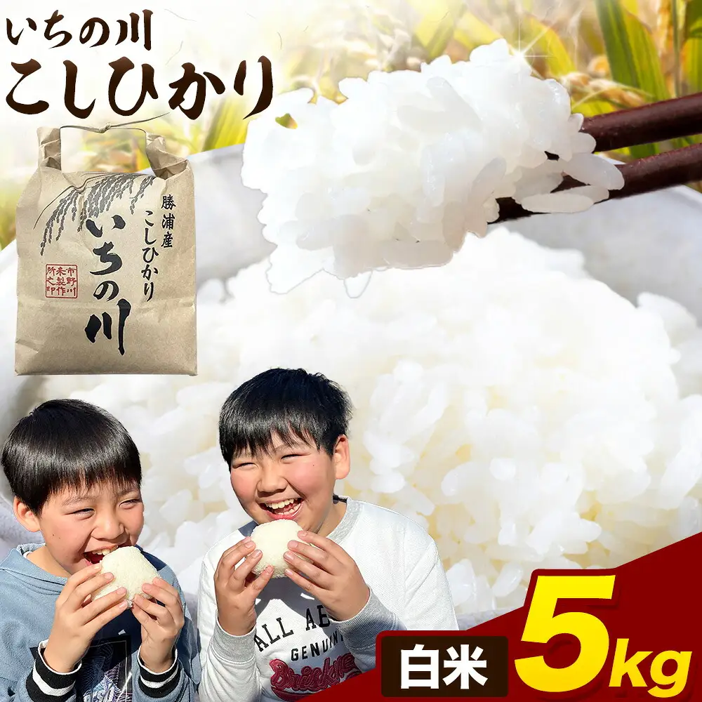 令和7年産 いちの川 コシヒカリ 白米 5kg 市野川米製作所