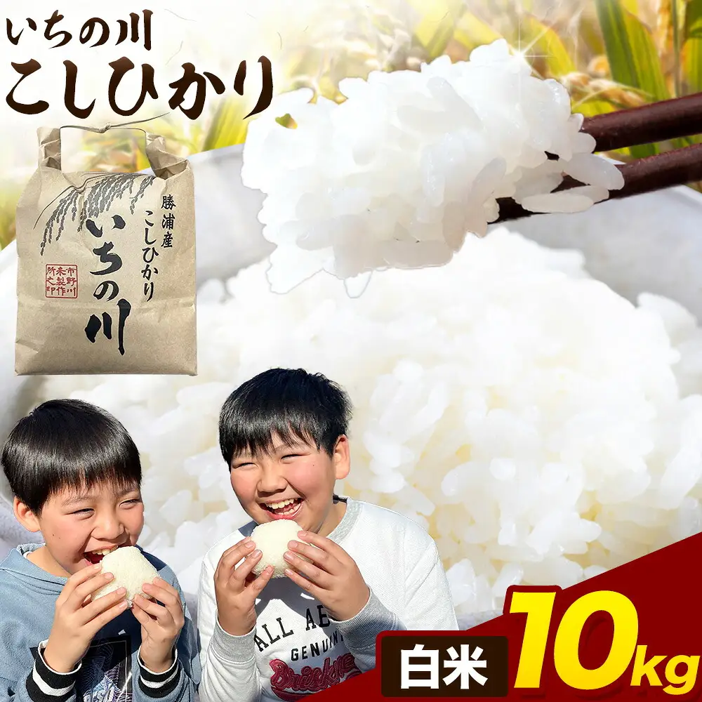 令和7年産 いちの川 コシヒカリ 白米 10kg 市野川米製作所