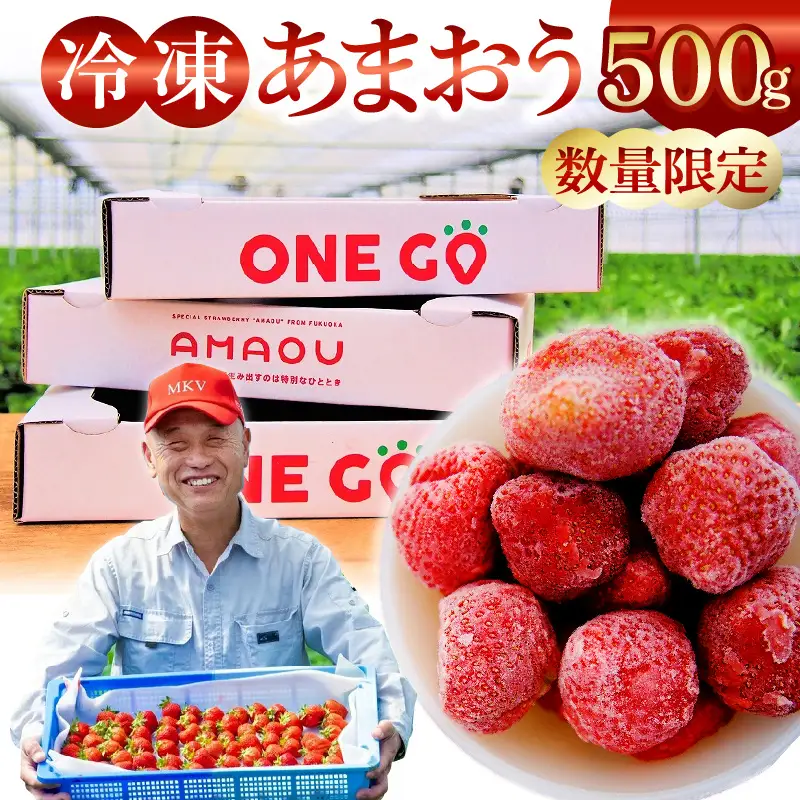 【数量限定】福岡県産あまおう（冷凍500g）特別栽培 〔Fi203-01〕