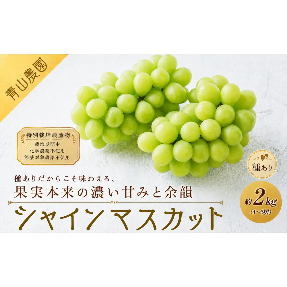 【先行予約】【数量限定】種ありシャインマスカット 約2kg（4〜5房）｜特別栽培農産物〔2026年8月上旬より順次発送〕
