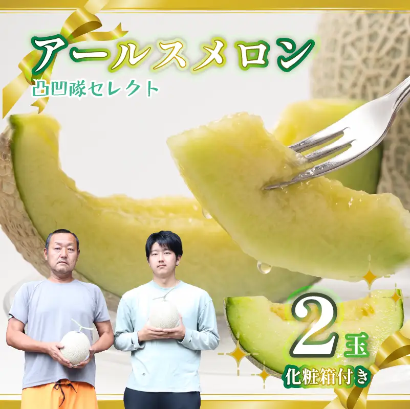 【期間限定 国産 2玉】アールスメロン 2玉   静岡県 牧之原 加藤ファーム 一般社団法人　0548プロジェクト