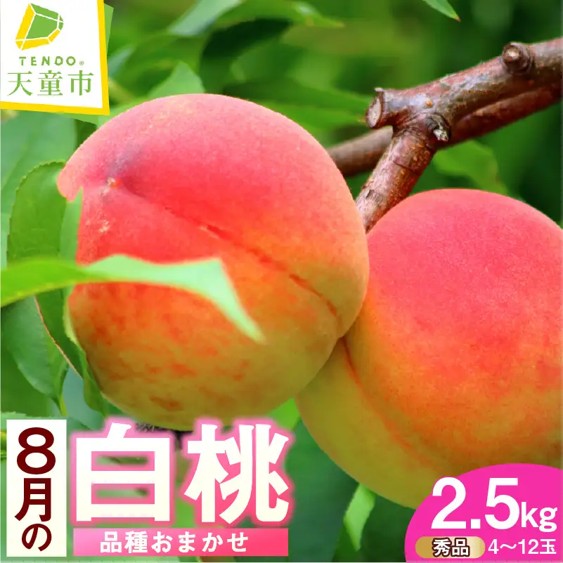 もも 8月 の 白桃 2.5kg 品種おまかせ 山形 桃