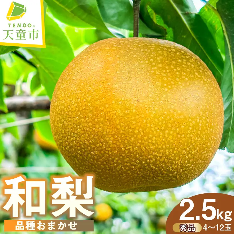 和梨 2.5kg 品種おまかせ 山形 梨