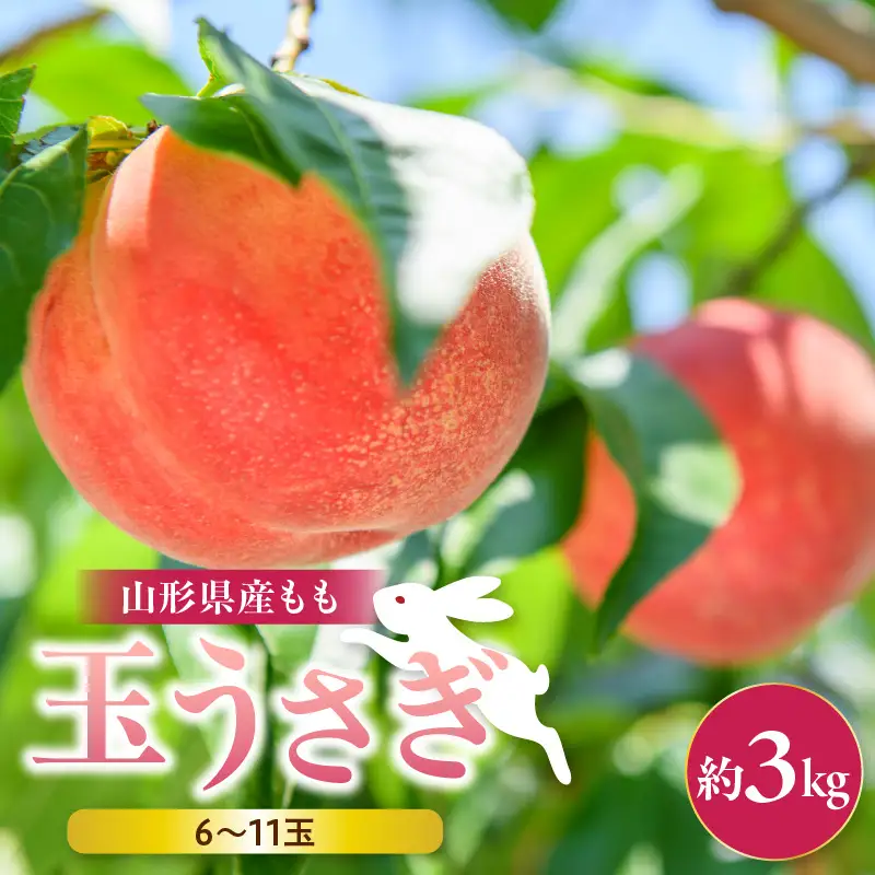 もも 大玉 玉うさぎ 約 3kg 山形 桃