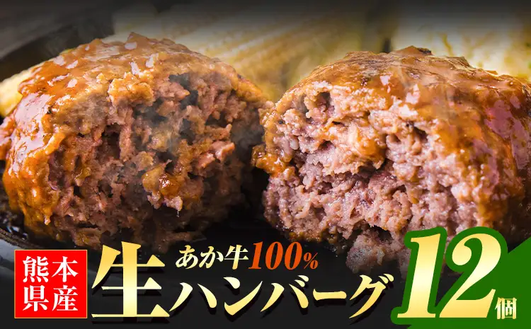 あか牛100%生ハンバーグ 12個  あか牛