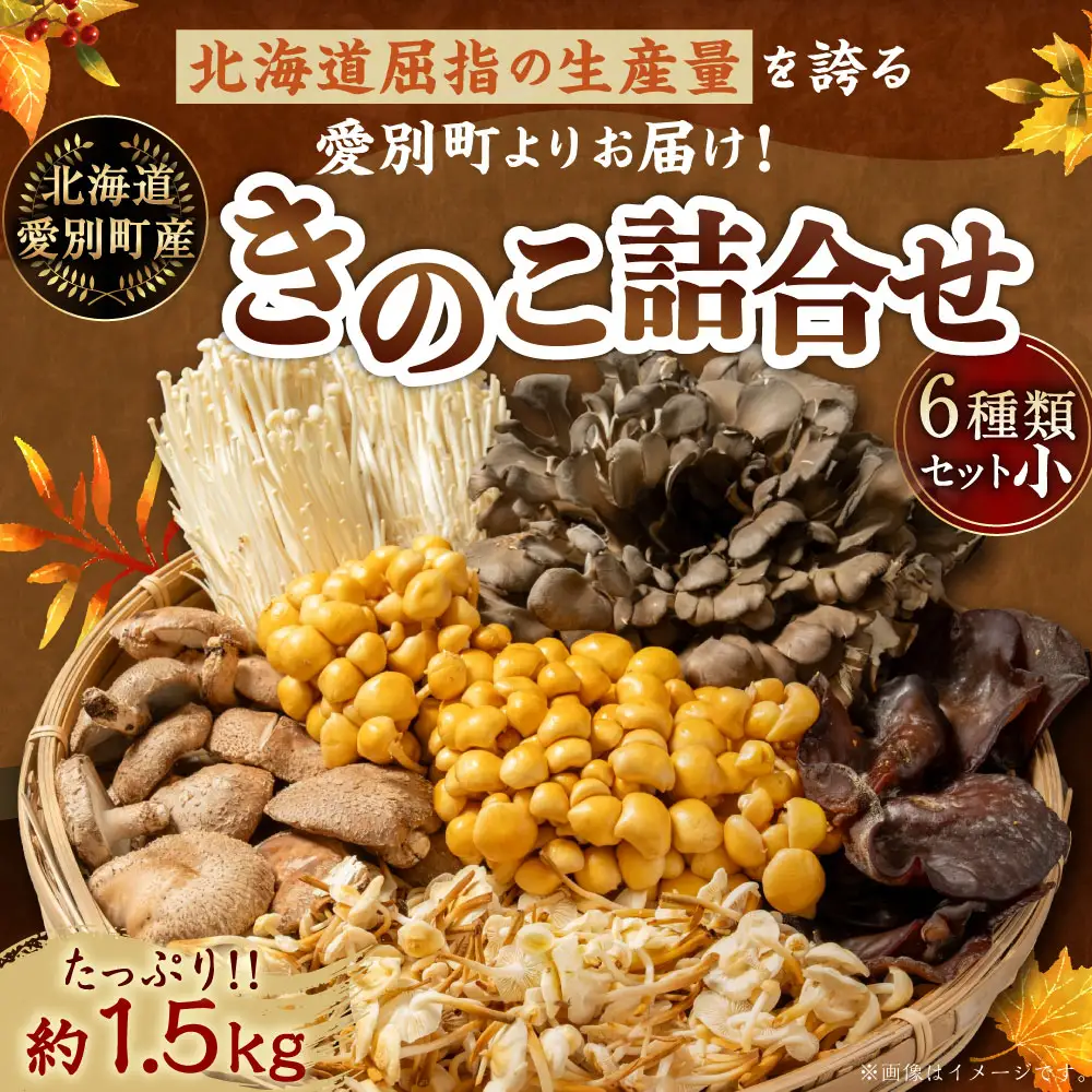 きのこ詰合せ 6種類 小(約1.5kg) | 野菜 きのこ