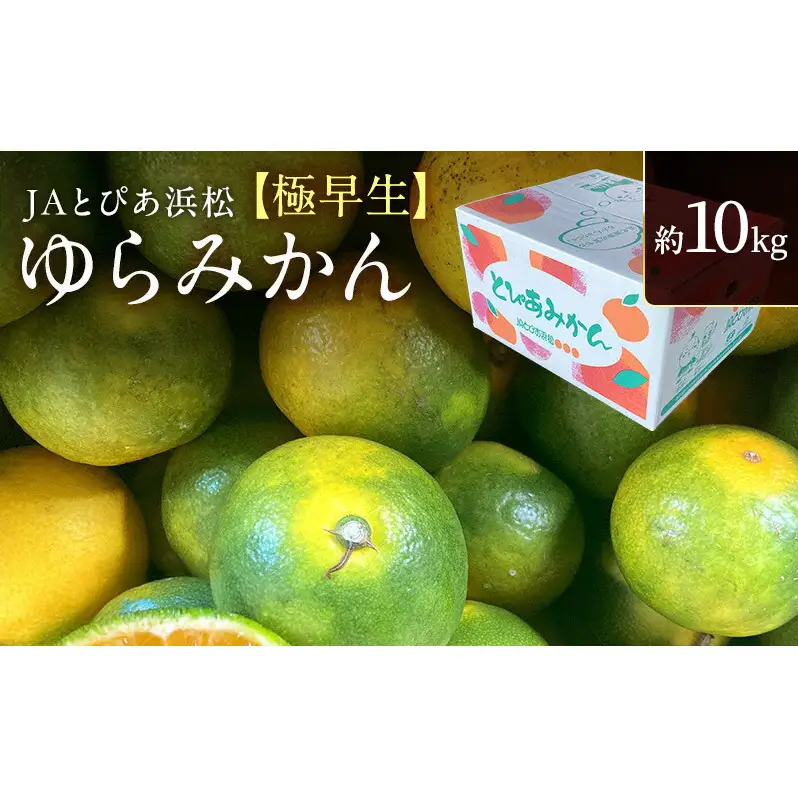 JAとぴあ浜松 極早生 ゆらみかん 約10kg (約100～110個) とぴあ みかん ゆら早生みかん ごくわせ 美味しい 静岡 浜松市