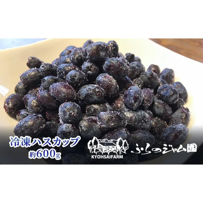 ◆ふらのジャム園◆ 冷凍 ハスカップ 2袋セット ( 果物 フルーツ 冷凍食品 新鮮 産地直送 北海道 道産 富良野 )