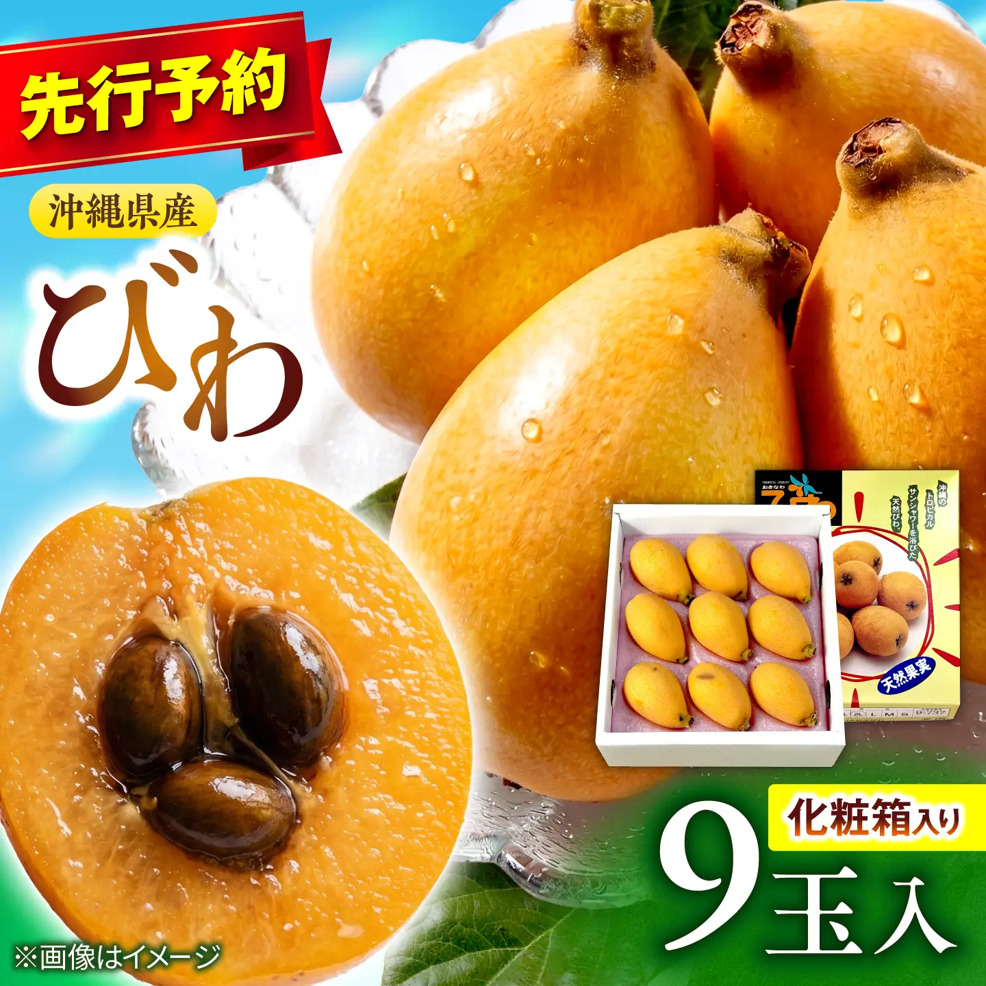 【2027年発送・先行受付】 【化粧箱入り】 沖縄産びわ (500g・9玉入り) フルーツ 果物 ギフト お取り寄せ 沖縄産 沖縄市 / ちゃんぷる～市場[BCAA008]