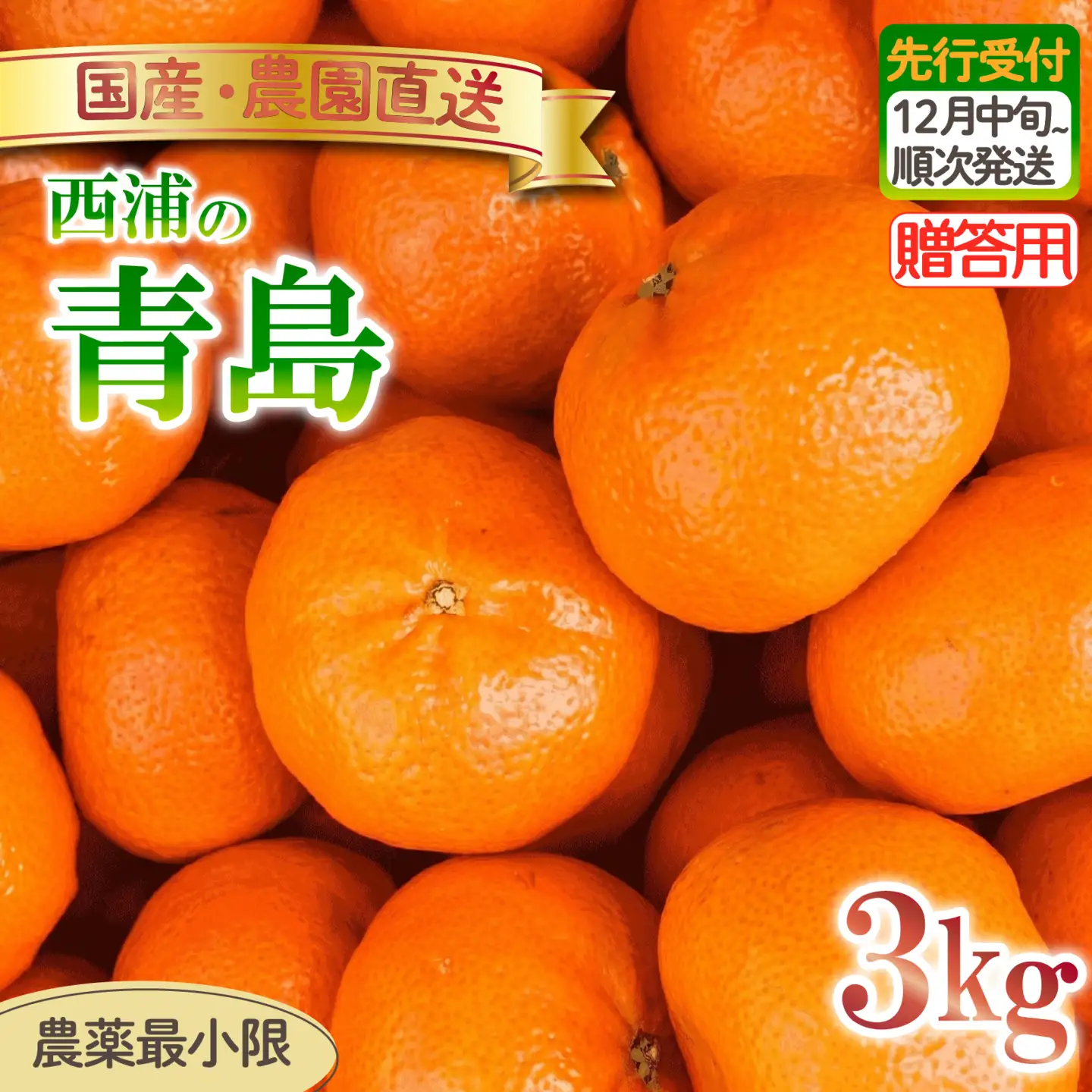 青島 みかん 3kg 【贈答用】 みかん 沼津 静岡