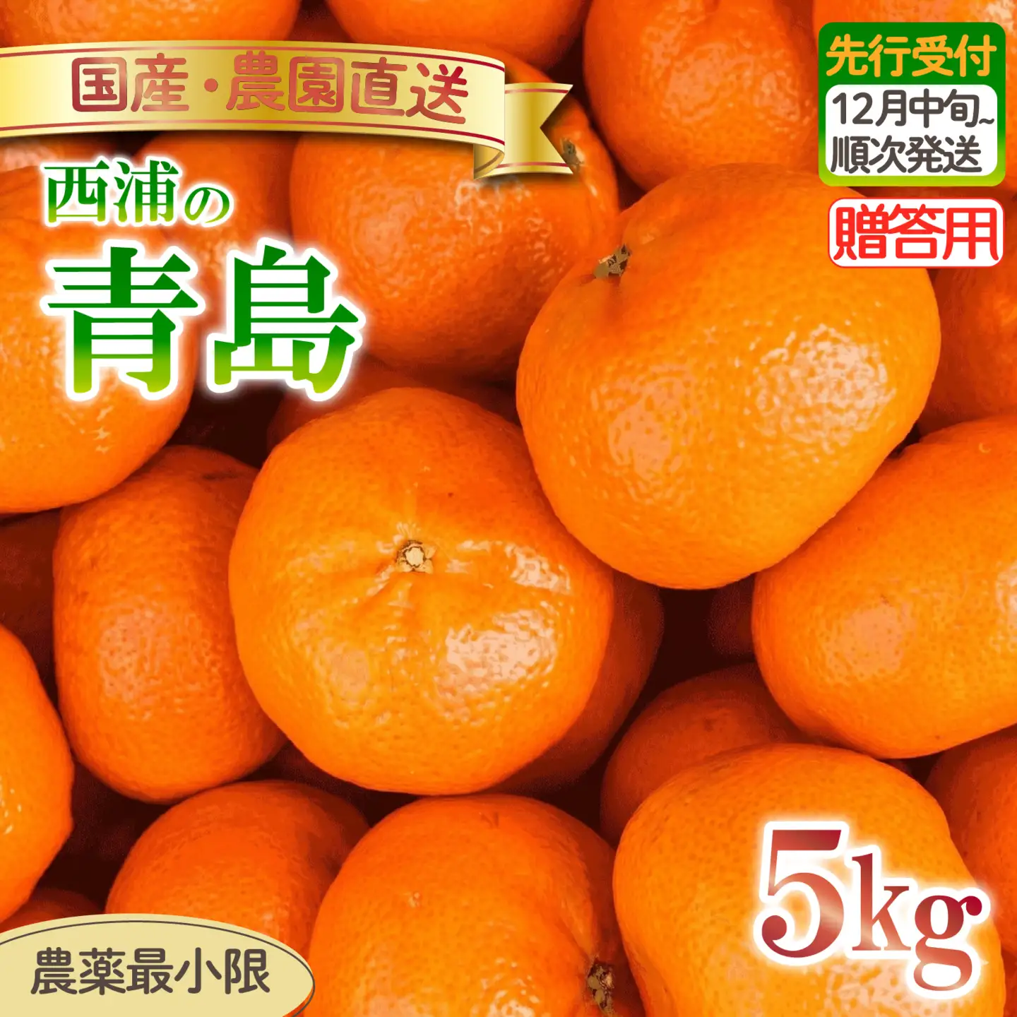 青島 みかん 5kg 【贈答用】 みかん 沼津 静岡