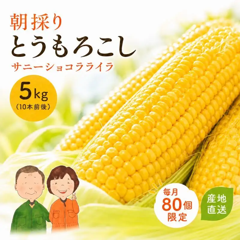 とうもろこし サニーショコラライラ 約5kg (10本前後) 冷蔵便 朝採り スイートコーン トウモロコシ 産直 産地直送