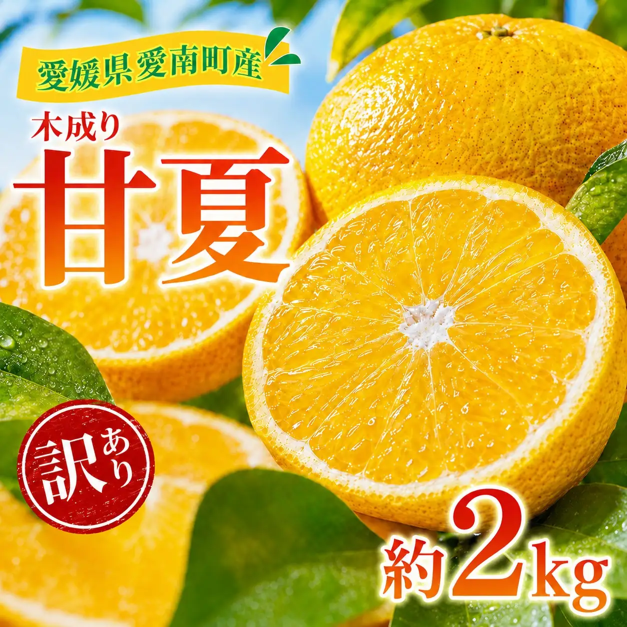 訳あり 甘夏 2kg +傷み補償分1割程度増量 甘夏 青果市場 愛媛県 愛南町