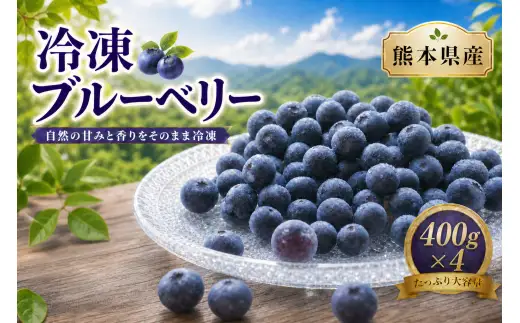 冷凍ブルーベリー （ 400g × 4個 ） ブルーベリー フルーツ 果物 くだもの ベリー デザート おやつ 冷凍