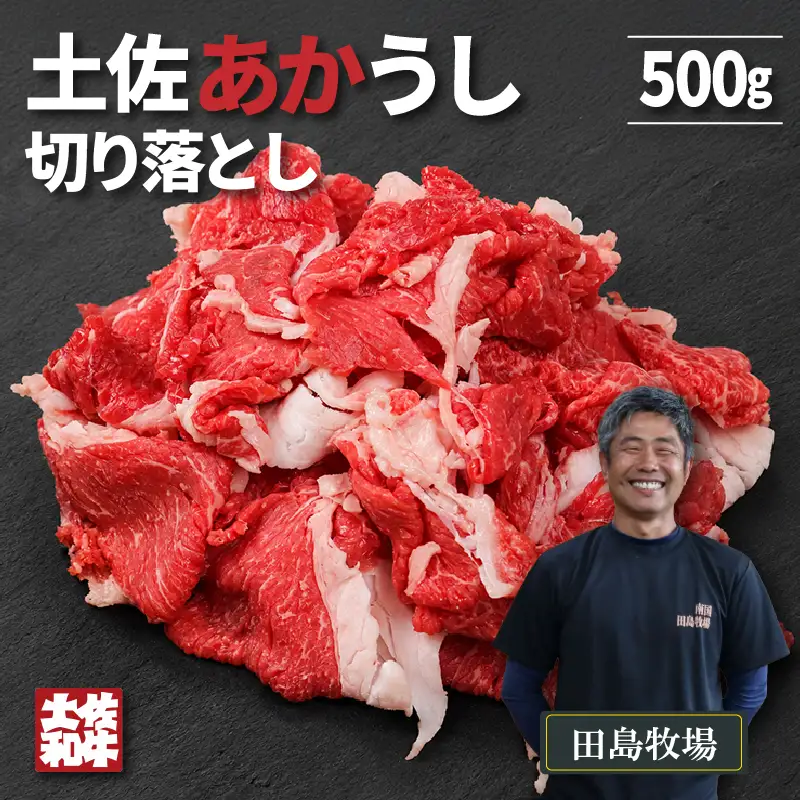 土佐あかうし 切り落とし 500g | 赤牛 あか牛 希少 ギフト 冷凍 贈答 高知県 南国市