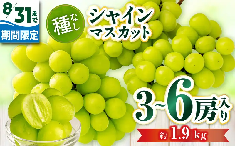 【8月31日（夏休み）までの期間限定価格!!】シャインマスカット　約1.9kg | シャインマスカット マスカット ぶどう ブドウ 葡萄 果物 フルーツ 期間限定 新鮮 くだもの 国産 ギフト お裾分け 旬 人気 種なし 皮ごと食べられる ジューシー 糖度が高い 先行受付 先行予約 季節限定 おすすめ 旬の果物 香川 香川県 三木町 |_ mk006-127