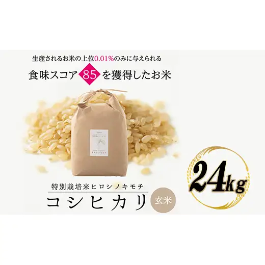 特別栽培米 コシヒカリ ヒロシノキモチ 玄米 24kg ブランド米 銘柄米 国産 米 お米 日本米 ギフト 贈り物 備蓄 防災 食品 陽咲玲 はるざれ F6T-1014