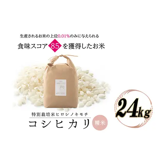 特別栽培米 コシヒカリ ヒロシノキモチ 精米 24kg ブランド米 銘柄米 国産 米 お米 日本米 ギフト 贈り物 備蓄 防災 食品 陽咲玲 はるざれ F6T-1015