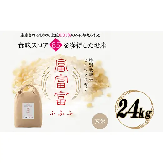 富山県ブランド米 富富富 玄米 24kg ふふふ ブランド米 国産 米 お米 日本米 ギフト 贈り物 備蓄 防災 食品 陽咲玲 はるざれ F6T-1017