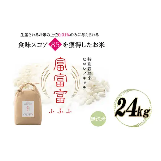 富山県ブランド米 富富富 無洗米 24kg ふふふ ブランド米 国産 米 お米 日本米 ギフト 贈り物 備蓄 防災 食品 陽咲玲 はるざれ F6T-1019