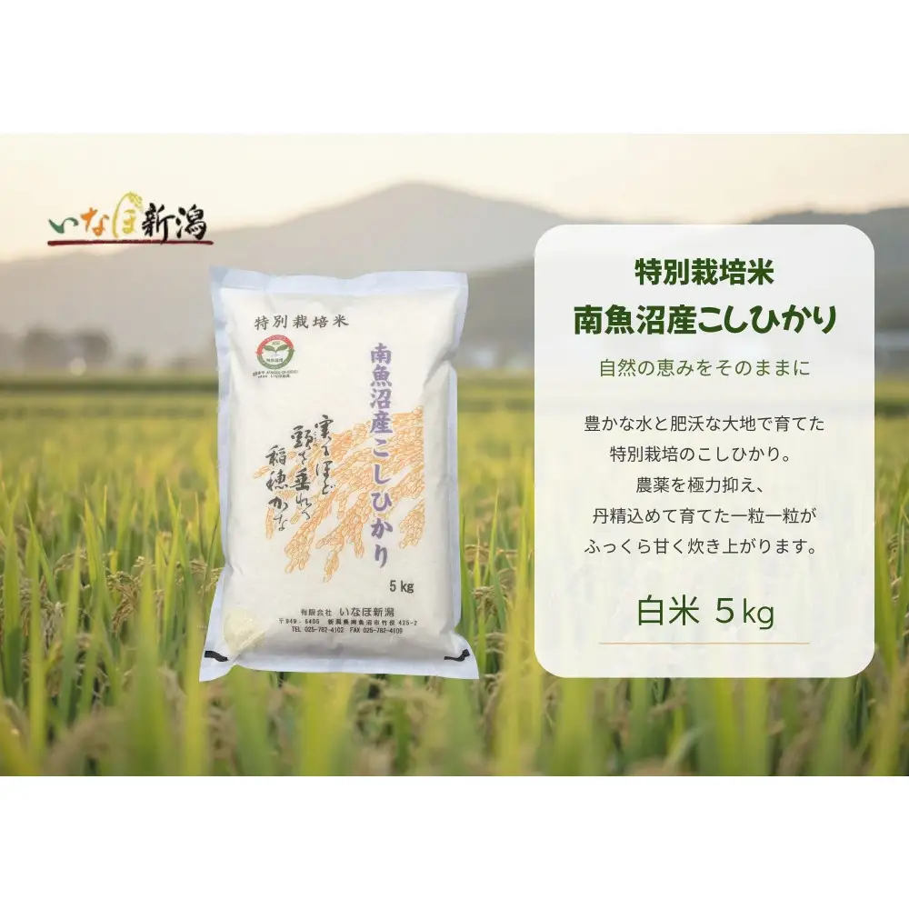 【令和８年産新米予約】 南魚沼産コシヒカリ特別栽培米 白米 5kg【2026年9月下旬より1ヶ月以内に順次発送予定】