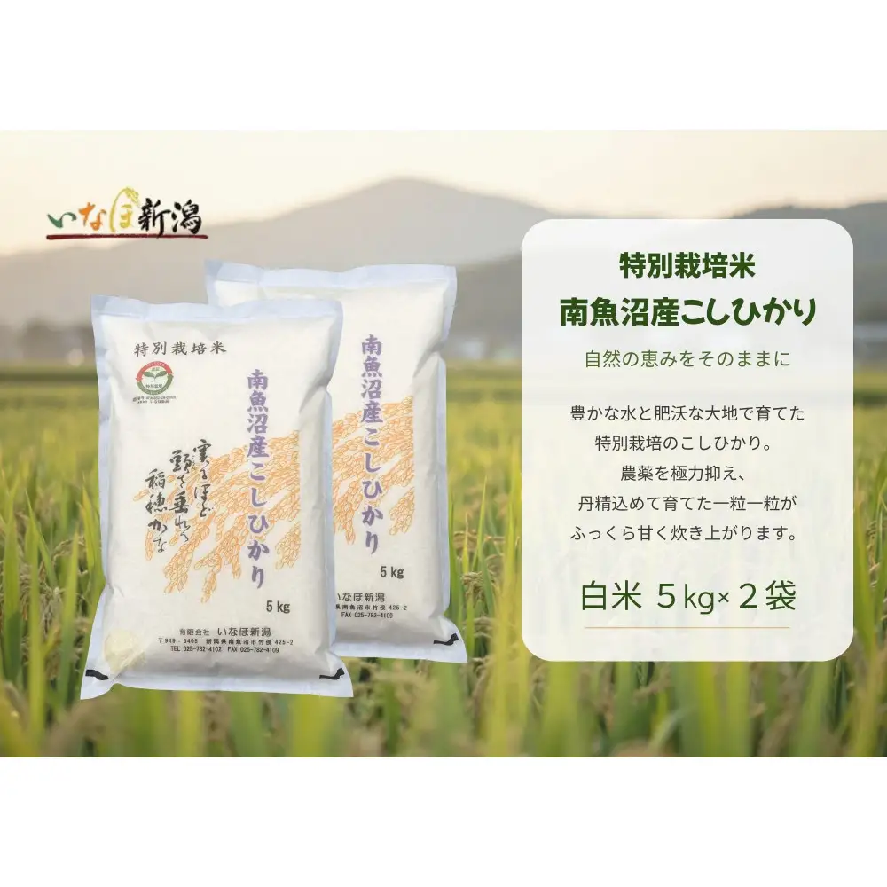 【令和8年産新米予約】 南魚沼産コシヒカリ特別栽培米 白米 10kg(5kg×2)【2026年9月下旬より1ヶ月以内に順次発送予定】