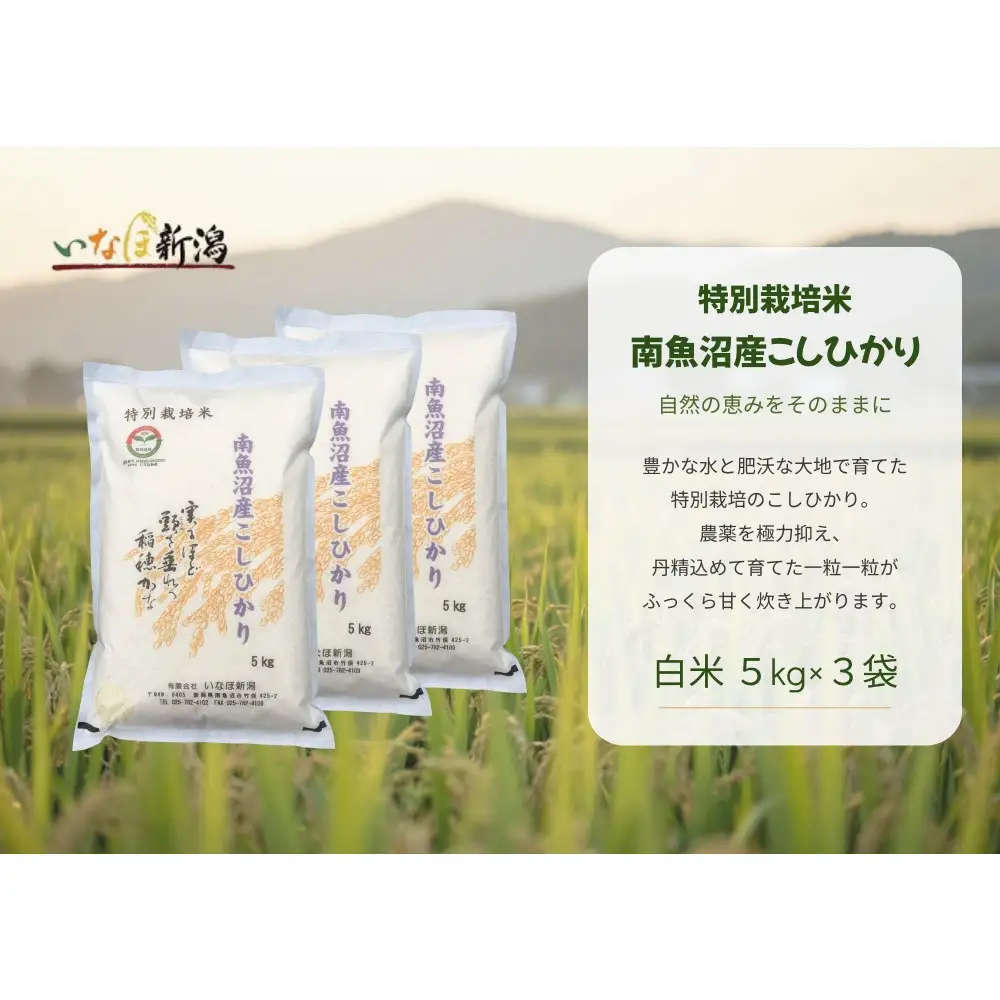 【令和８年産新米予約】 南魚沼産コシヒカリ特別栽培米 白米 15kg(5kg×3)【2026年9月下旬より1ヶ月以内に順次発送予定】