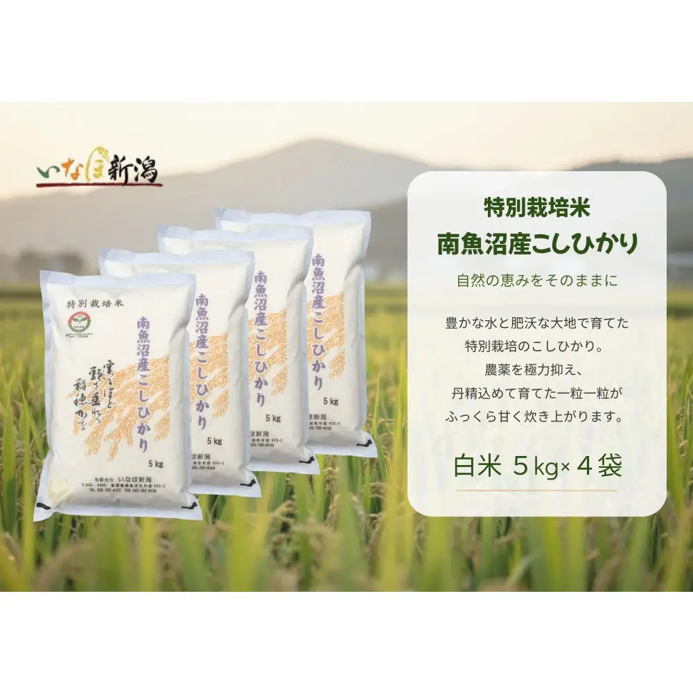 コシヒカリ　20kg　特別栽培米 令和8年産新米予約】 南魚沼産コシヒカリ特別栽培米 白米 20kg(5kg×4