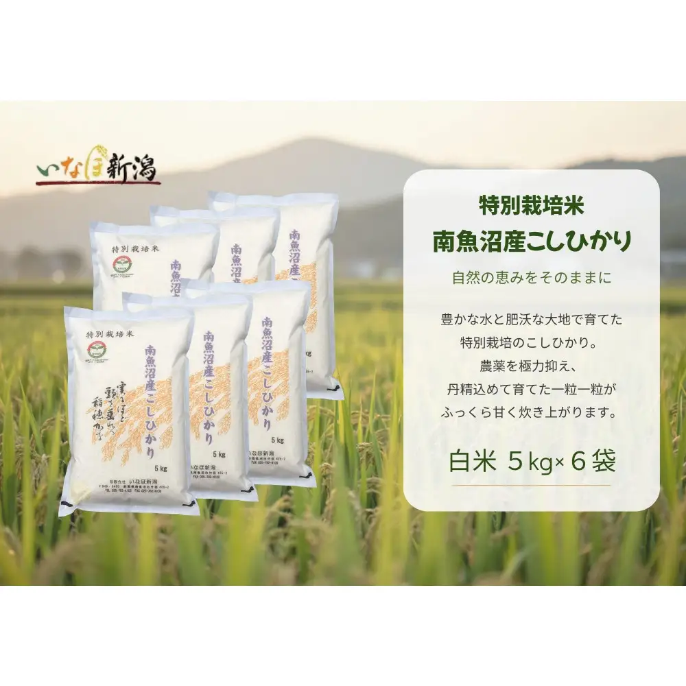 【令和8年産新米予約】 南魚沼産コシヒカリ特別栽培米 白米 30kg(5kg×6)【2026年9月下旬より1ヶ月以内に順次発送予定】