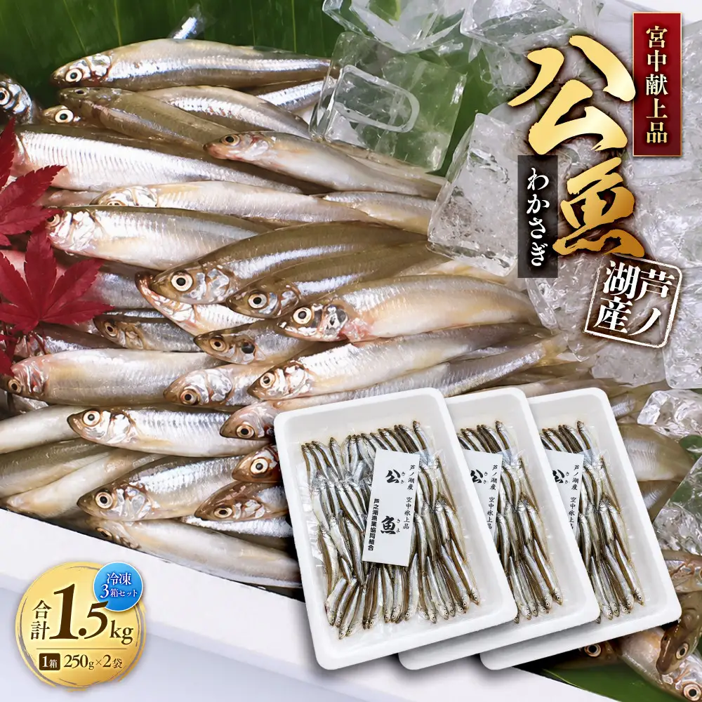 宮中献上品 芦ノ湖産公魚（わかさぎ）（冷凍250g×2袋）×3箱セット 合計1.5kg