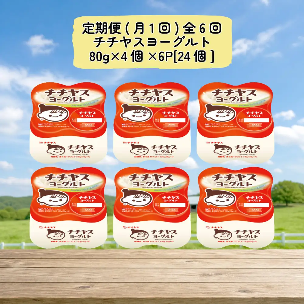 【定期便 全6回(月1回)】 チチヤスヨーグルト80g×4個×6P