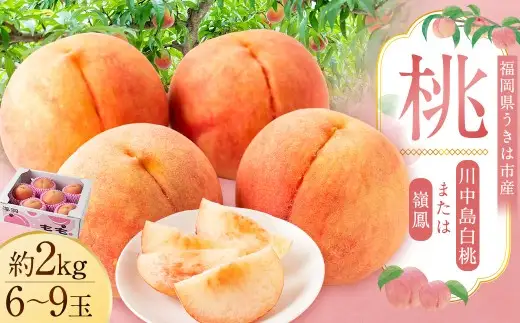【ふるさと納税】【先行予約】桃 白桃 嶺鳳 川中島白桃 2kg 6〜9玉 もも ピーチ フルーツ 果物 くだもの 国産 福岡県産 甘い おいしい 旬 夏&nbsp;お中元 ギフト 贈答 お祝い&nbsp;内祝い プレゼント 産地直送 冷蔵 送料無料 福岡県 うきは市【2026年7月上旬〜8月上旬発送予定】