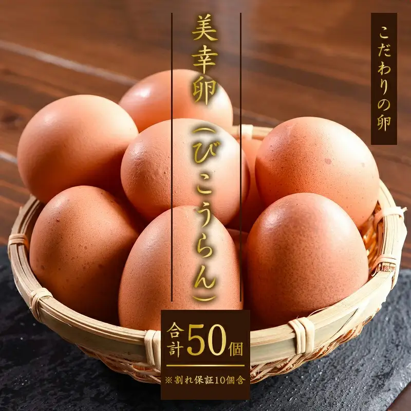 【2026年10月10日頃発送】卵 美幸卵 50個（割れ保証10個含む）※配送不可 沖縄・離島 たまご 玉子 山形 板垣養鶏場　013-G-BK006-10