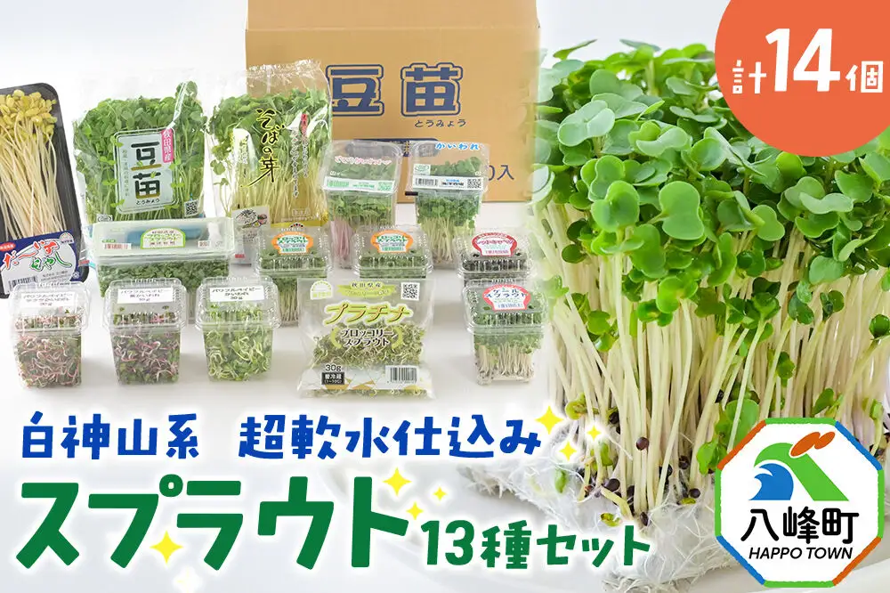 スプラウト、かいわれなど13種セット【白神山系　超軟水仕込み】　計14個