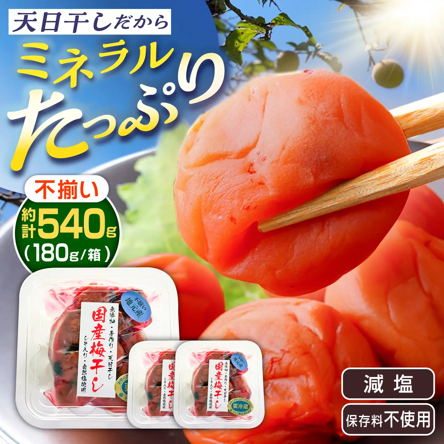 岐阜県産 不揃い 梅干し　計540g 180g×3袋 (天日干し・減塩・保存料不使用) / 梅干し 天日干し 減塩 / 恵那市 / マルコ醸造[AUCT025]