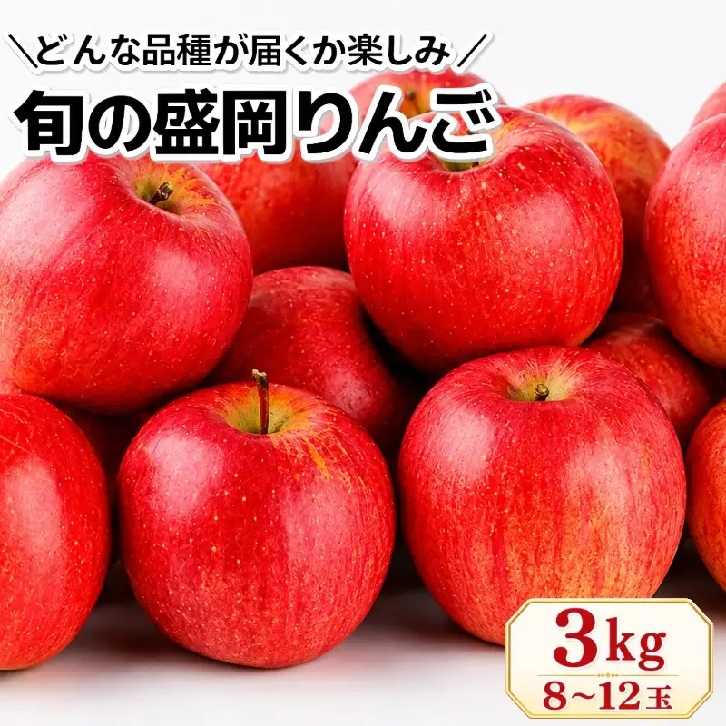 【先行予約】旬の盛岡りんご 詰め合わせ 品種おまかせ 約3kg 8～12玉 朝島観光りんご園 asashima003 りんご