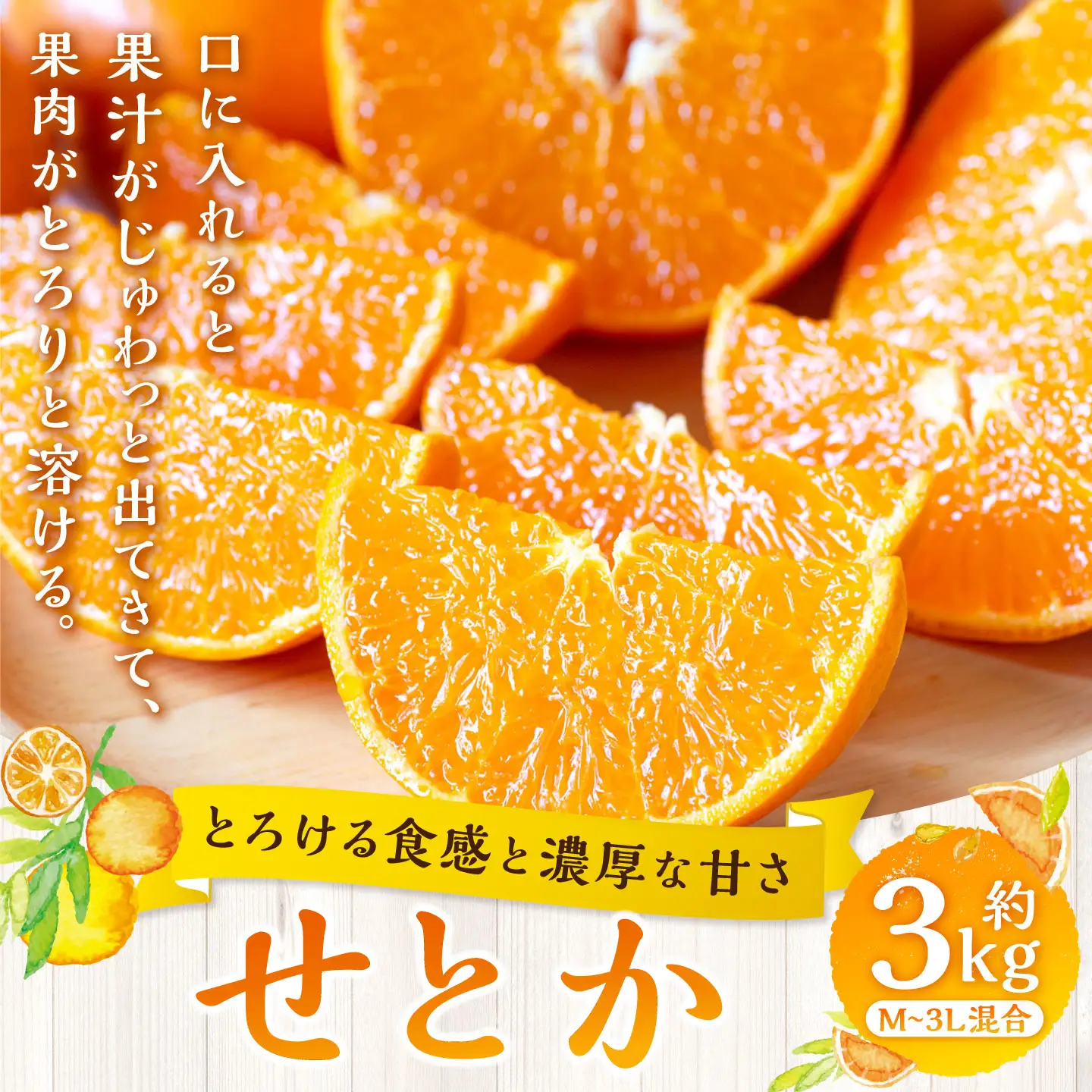 【 とろける食感と濃厚な甘さ 】 せとか 約3kg みかん ミカン 柑橘 柑橘類 柑橘系 くだもの 果物 フルーツ 果実 果汁 果肉 国産 愛媛県産 【 2027年2月上旬～4月下旬発送予定 】 ( 1045 )