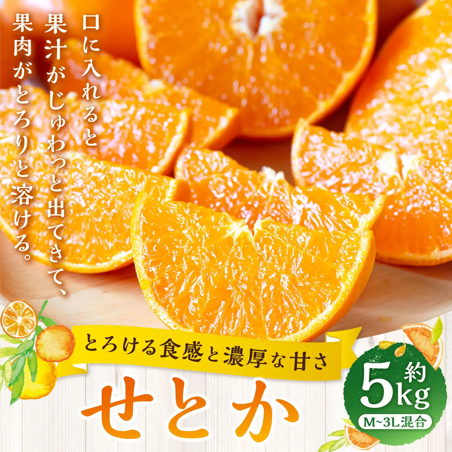 【 とろける食感と濃厚な甘さ 】 せとか 約5kg みかん ミカン 柑橘 柑橘類 柑橘系 くだもの 果物 フルーツ 果実 果汁 果肉 国産 愛媛県産 【 2027年2月上旬～4月下旬発送予定 】 ( 1046 )