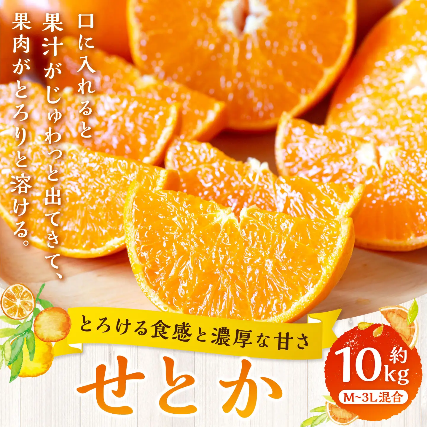 【 とろける食感と濃厚な甘さ 】 せとか 約10kg みかん ミカン 柑橘 柑橘類 柑橘系 くだもの 果物 フルーツ 果実 果汁 果肉 国産 愛媛県産 【 2027年2月上旬～4月下旬発送予定 】 ( 1047 )