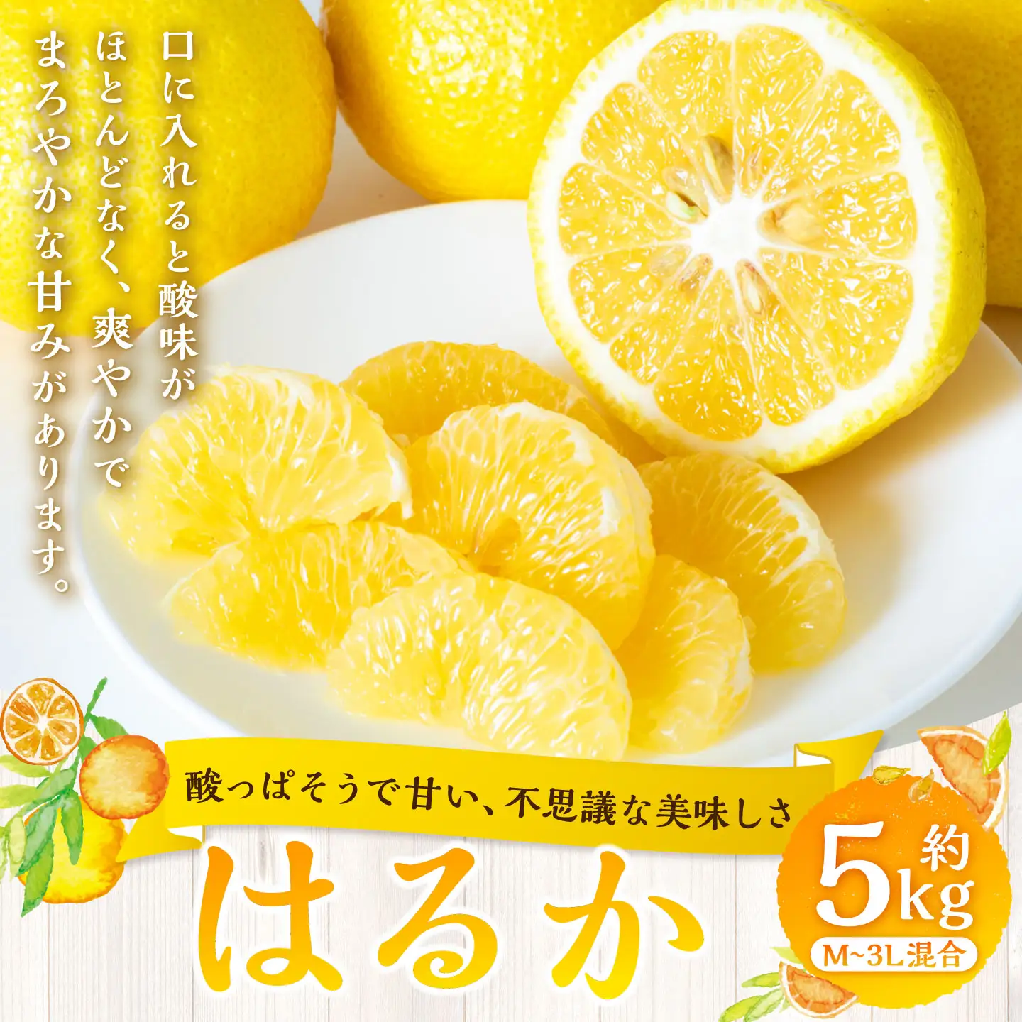【 酸っぱそうで甘い、不思議な美味しさ 】 はるか 約5kg みかん ミカン 柑橘 柑橘類 柑橘系 くだもの 果物 フルーツ 果実 果汁 果肉 国産 愛媛県産 【 2027年2月上旬～3月下旬発送予定 】 ( 1056 )