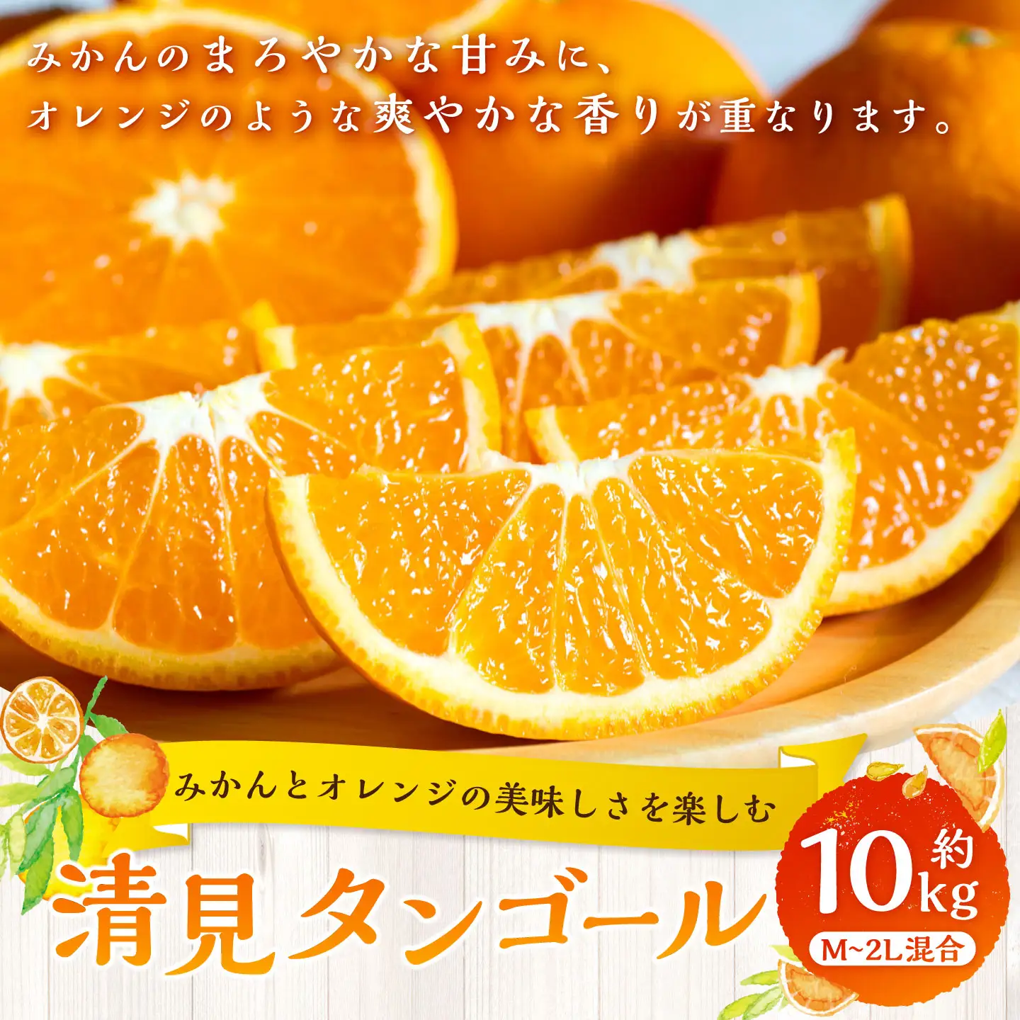 【 みかんとオレンジの美味しさを楽しむ 】 清見タンゴール 約10kg みかん ミカン オレンジ 柑橘 柑橘類 柑橘系 くだもの 果物 フルーツ 果実 果汁 果肉 国産 愛媛県産 【 2027年2月下旬～5月上旬発送予定 】 ( 1065 )