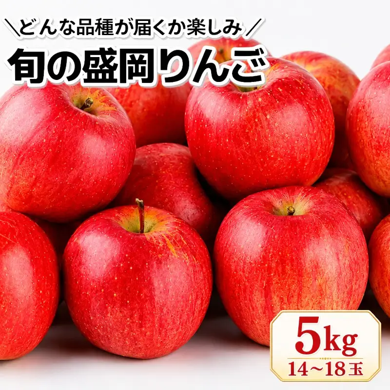 【先行予約】旬の盛岡りんご 詰め合わせ 品種おまかせ 約5kg 14～18玉 朝島観光りんご園 asashima004 りんご