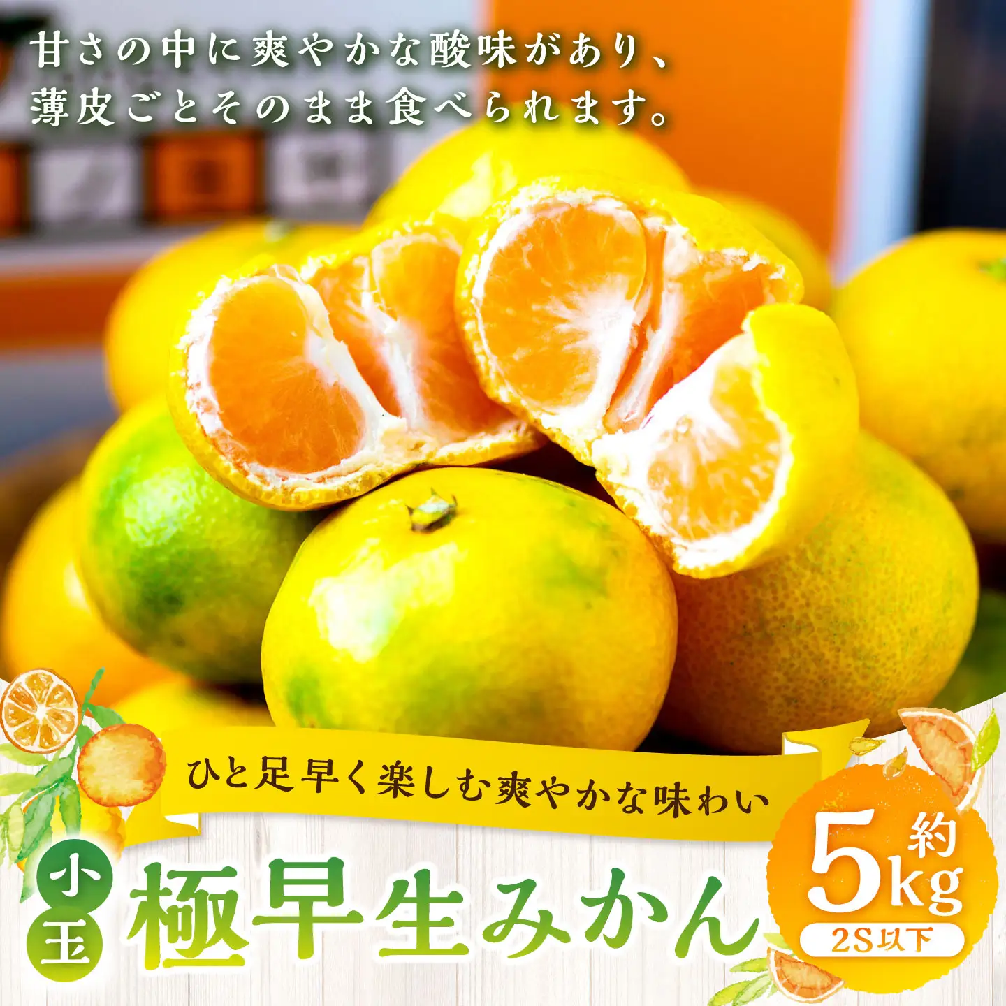 【 ひと足早く楽しむ爽やかな味わい 】 極早生みかん （ 小玉 ） 約5kg みかん ミカン 柑橘 柑橘系 柑橘類 くだもの 果物 フルーツ 果実 果汁 果肉 国産 愛媛県産 薄皮 【 2026年9月下旬-11月上旬発送予定 】 ( 1099 )